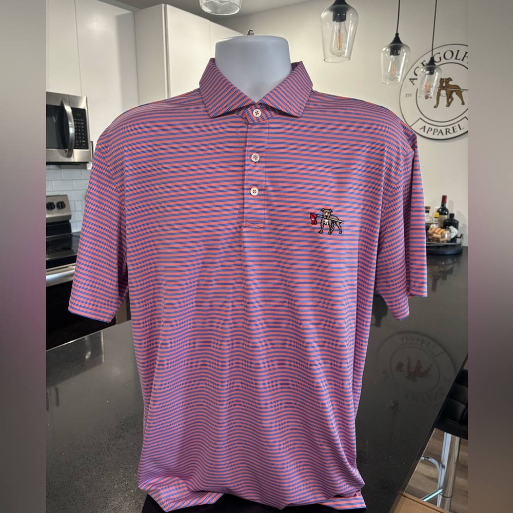H&b polo